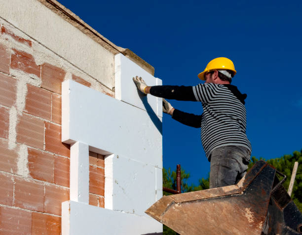Best Home Insulation Services  in June Park, FL