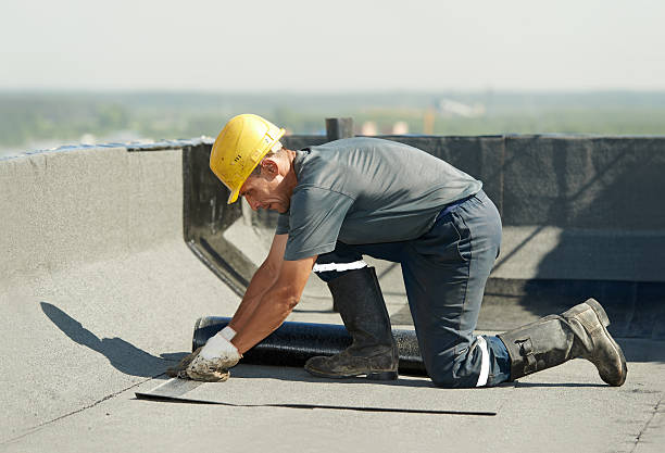 Best Professional Insulation Contractor  in June Park, FL